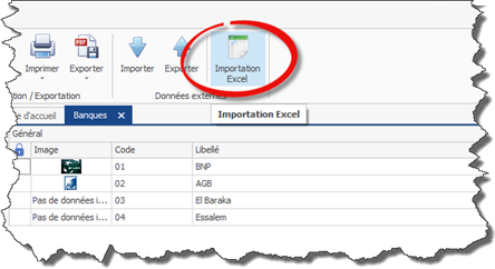 Importation Excel - Inabex Zorg